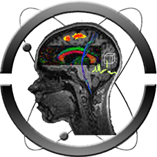 Neuroimaging Analysis Group